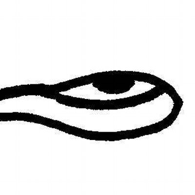 400x400 The Tapeworm