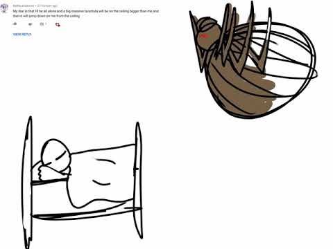 480x360 drawing your fears tarantula in your room while you're