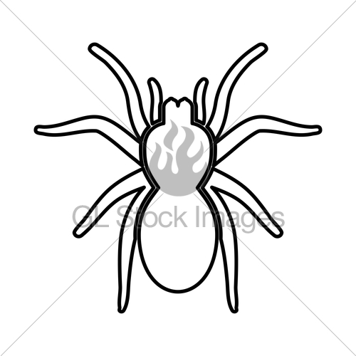 500x500 spider or tarantula it is black icon gl stock images