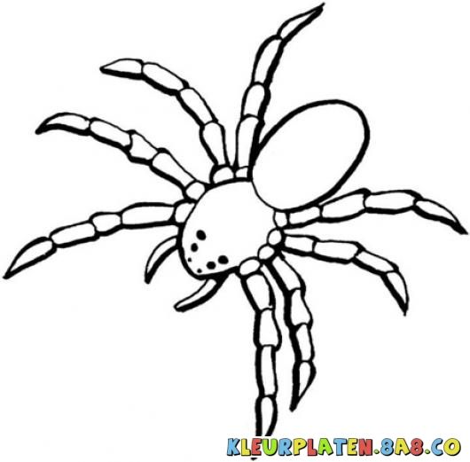 530x521 tarantula clipart