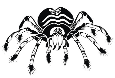 450x306 black tarantula tattoo spider royalty free vector graphics