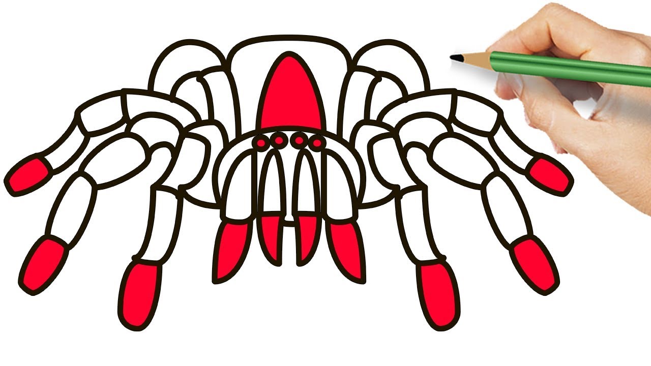 1280x720 coloring for kids with giant spider tarantula