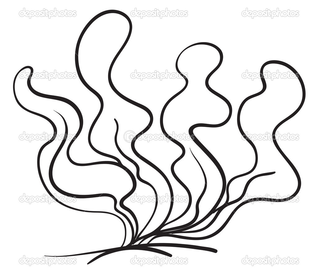 1024x885 Drawn Coral Aquatic Plant