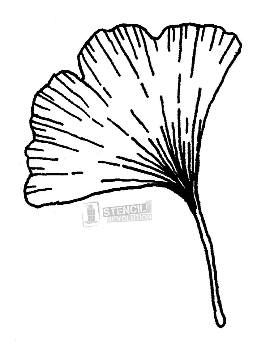 886x1146 ginkgo leaf stencils leaves leaf stencil, leaf drawing, leaf