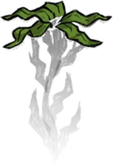 392x578 seaweed plant don't starve game wiki fandom powered