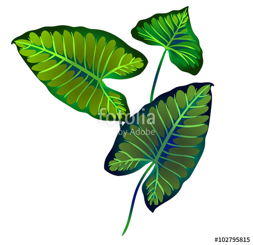 500x483 Beautiful Vector Pattern With Tropical Leaves, All Shapes Isolated