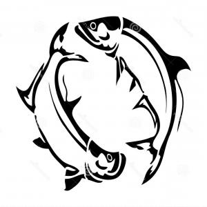 300x300 Tarpon Fishes Jumping Vector Illustration Two Anothers Tail