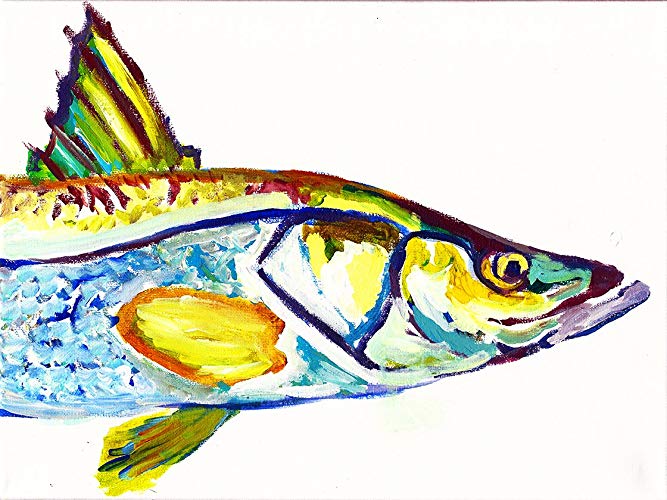 667x500 snook art print, fishing gift