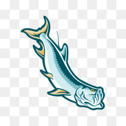 260x260 Download Tarpon Png Clipart Tarpons Atlantic Tarpon