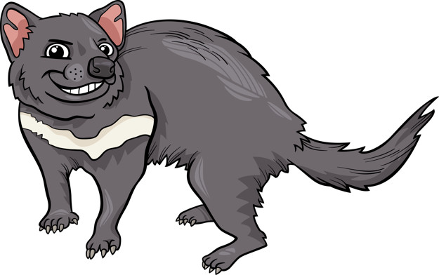 625x392 Tasmanian Devil Cartoon Illustration Vector Premium Download
