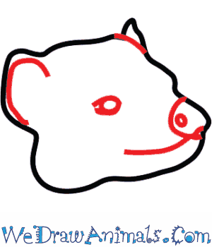 300x350 How To Draw A Tasmanian Devil