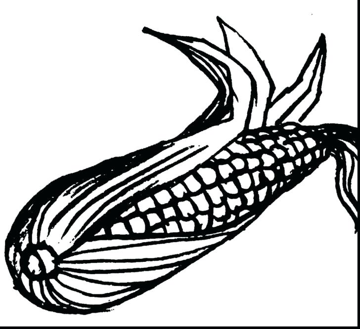 728x666 Corn Drawing Corn Tassel For Free Download