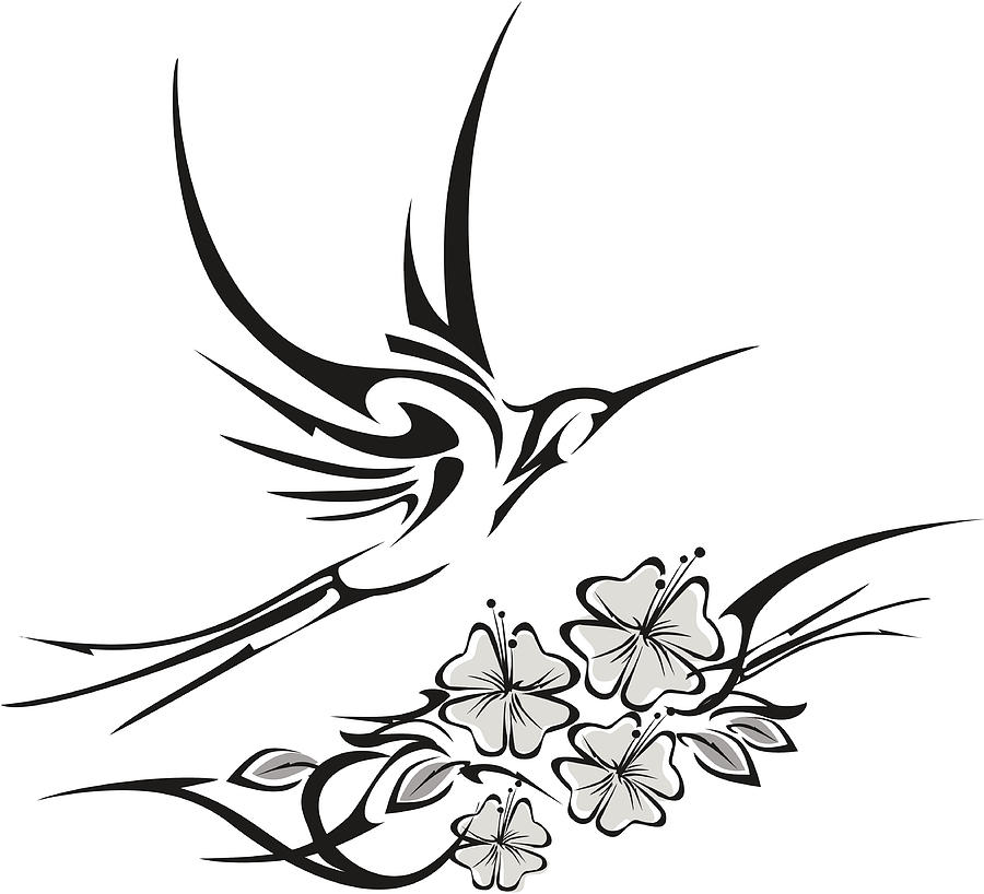 900x818 Huge Collection Of 'hibiscus Tattoo Drawing' Download More Than