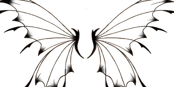 600x300 Wing Tattoo Designs