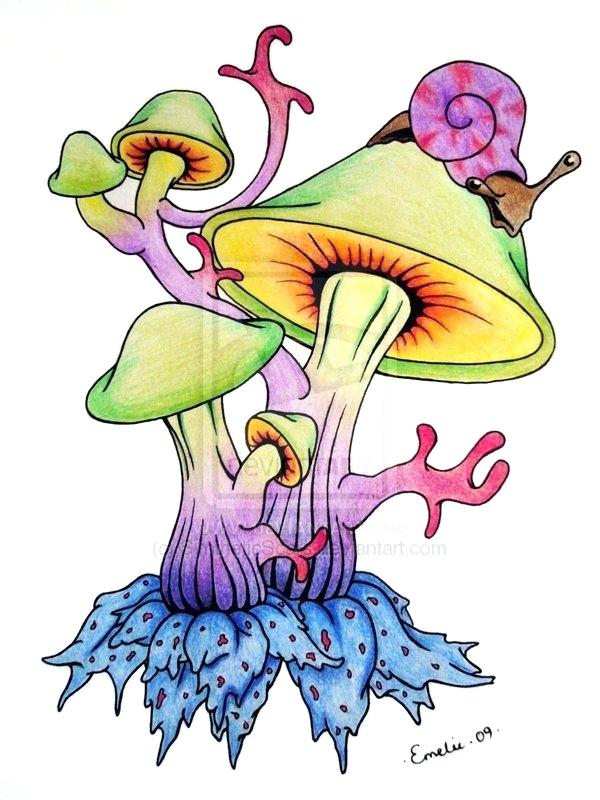 600x800 Shrooms Drawing