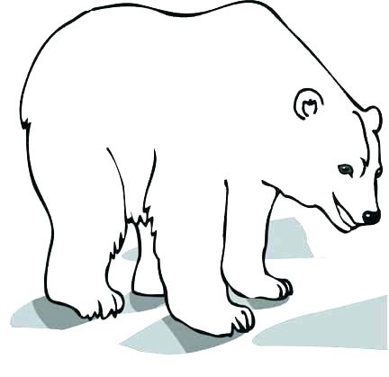 432x419 Picture Of A Bear To Color Outline Drawing Polar Amazing Tattoo
