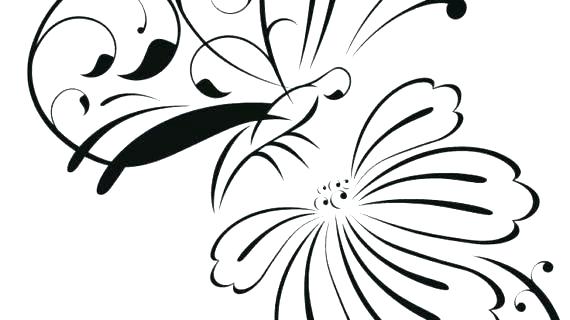 570x320 Simple Rose Outline Simple Rose Outline Drawing Google Search