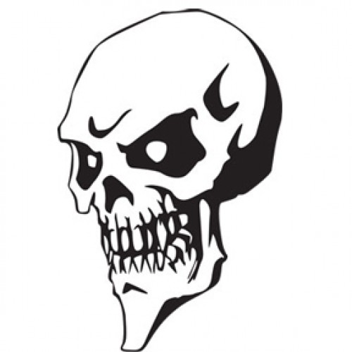 500x500 Paper Transfer Tattoo Skull