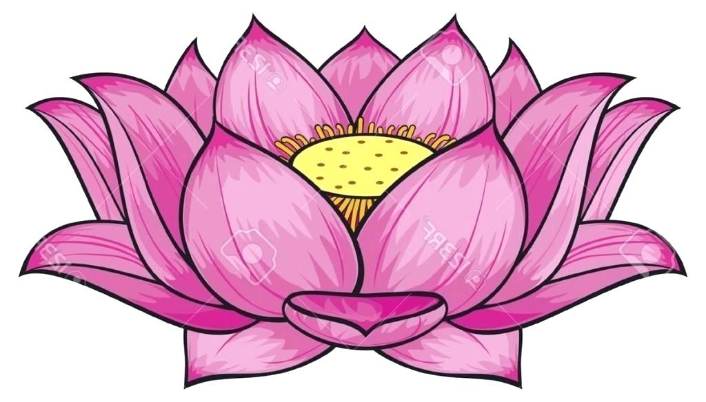 1024x584 Drawing Lotus Flower Free Line Drawing Lotus Flower