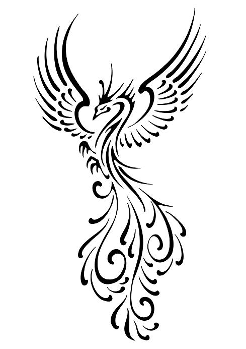 489x692 Phoenix Tattoo Drawing Pictures And Cliparts, Download Free
