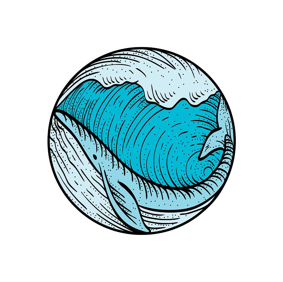 900x898 Whale Tattoo Drawing