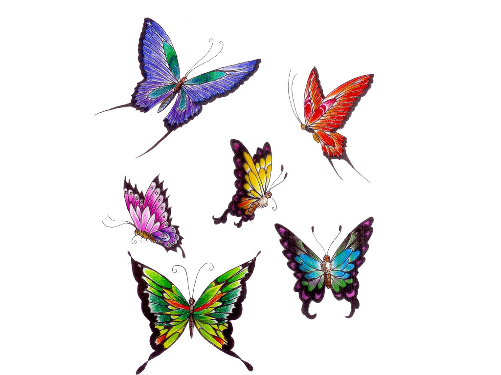 1024x768 Casey County Public Library Printable Butterfly Tattoo Designs