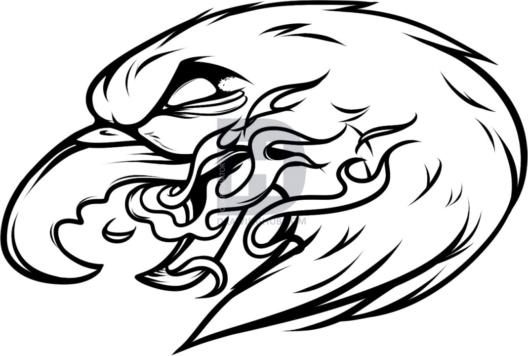 1069x720 How To Draw An Eagle Tattoo, Eagle Tattoo, Step