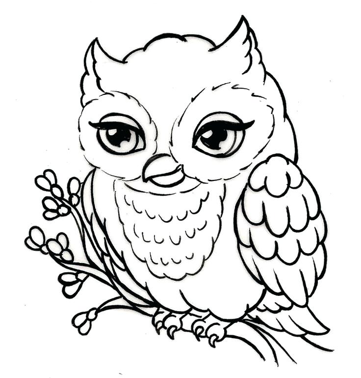 736x769 Owl Drawing Outline Owl Tattoo Outline Drawings Owl Head Drawing