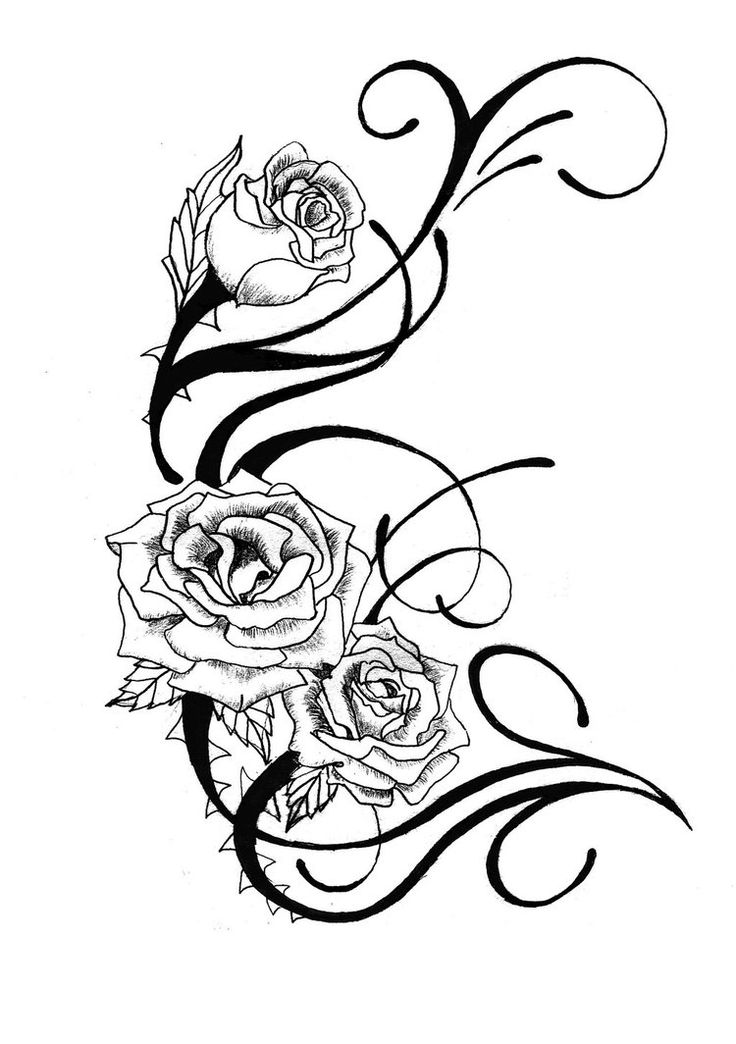 736x1044 Rose Tattoo Clipart Drawing
