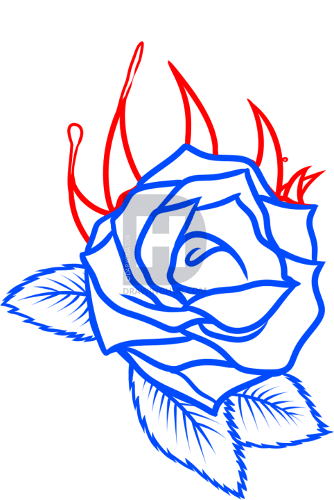 482x720 How To Draw A Rose Tattoo Design, Step
