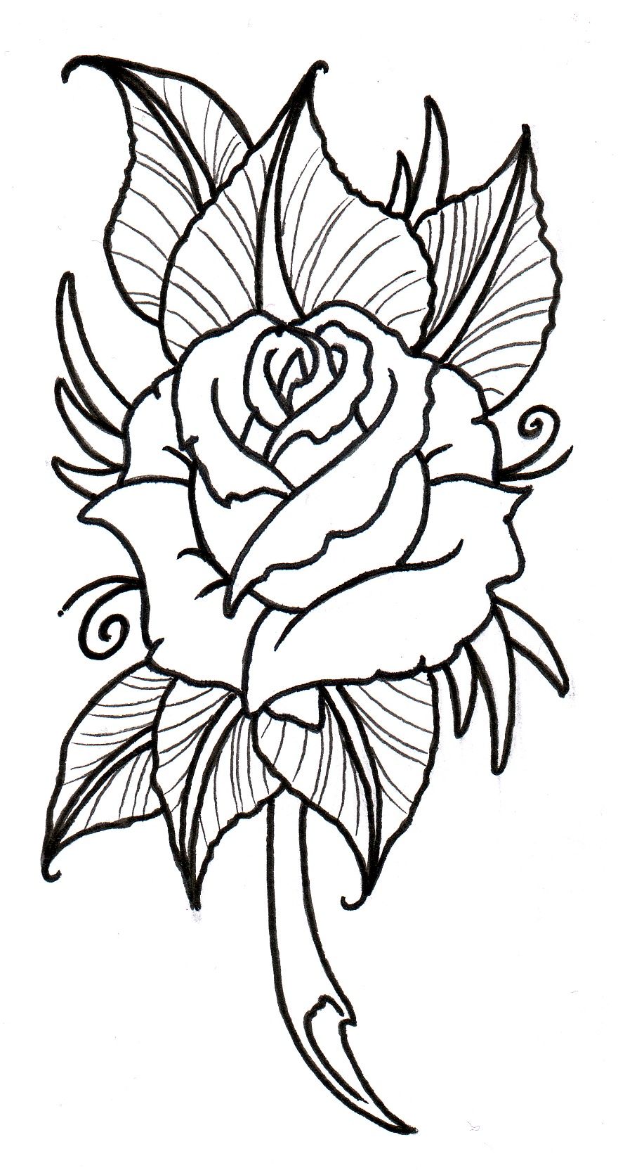 880x1671 Neo Traditional Rose Outline