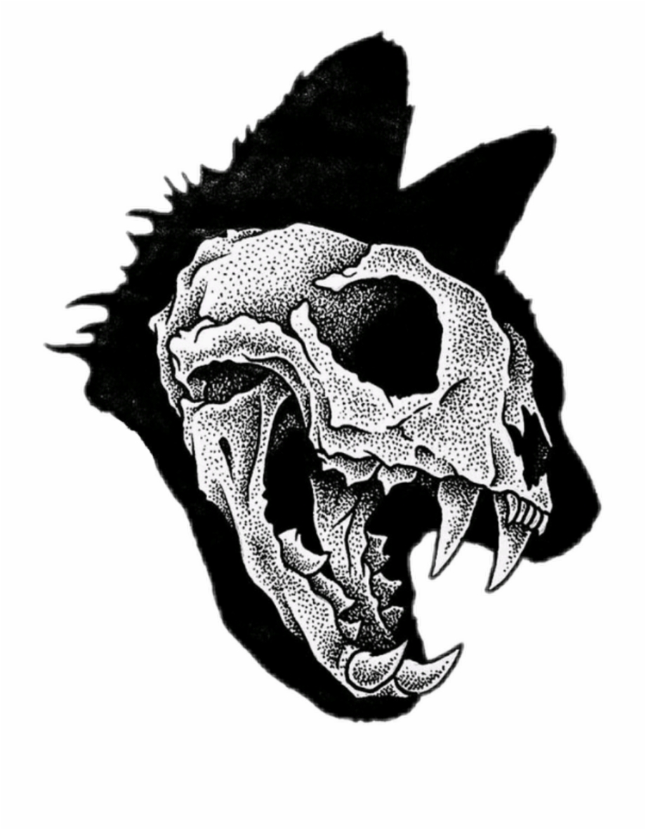 920x1182 Cat Skull Download Free Clipart With A Transparent