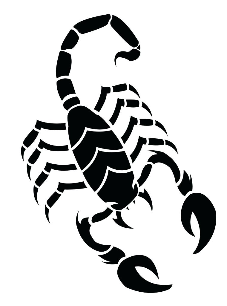 760x1024 Simple Scorpion Drawing Drawings Of Scorpions Simple Scorpion