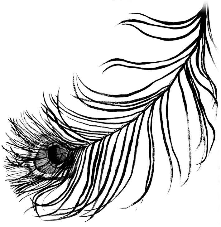 709x728 Tattoo Designs Clipart Peacock Feather
