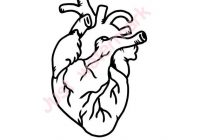 200x140 Real Heart Drawing Heart Tattoo Tumblr My Art Institute