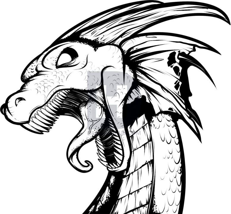 776x719 How To Draw A Dragon Tattoo, Dragon Tattoo, Step