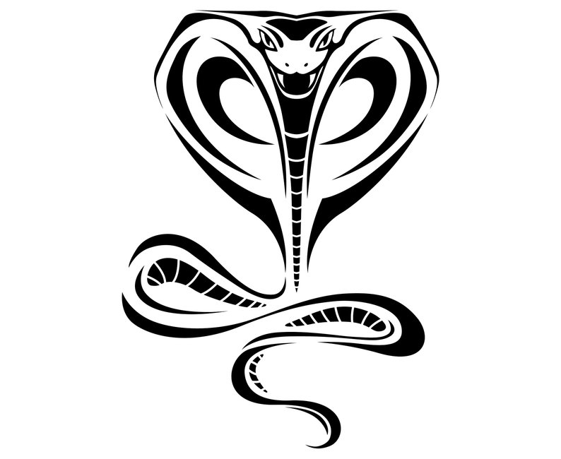 794x650 Cobra Snake Symbol Tattoo Tribal Animal Etsy
