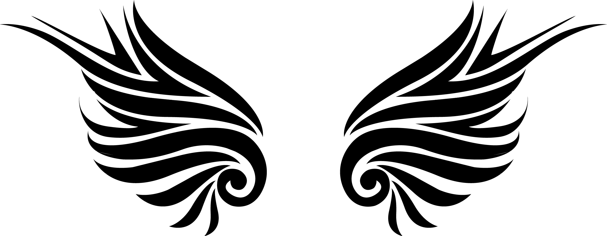 2439x951 Firebird Drawing Tattoo Transparent Png Clipart Free Download