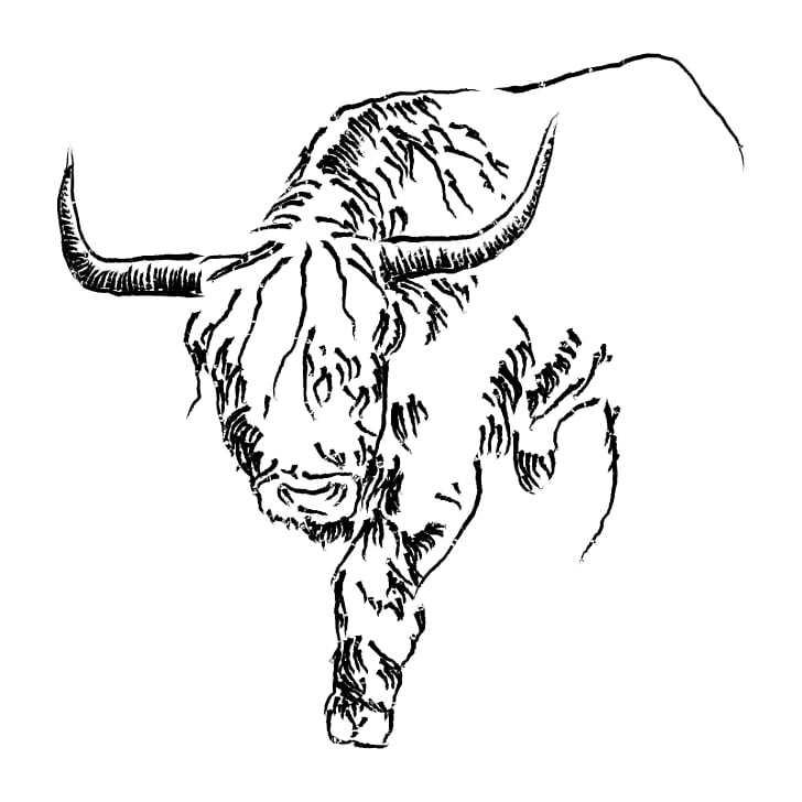 728x728 Page Taurus Cattle Png Cliparts For Free Download Uihere