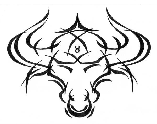 600x475 Taurus Tribal Tattoo