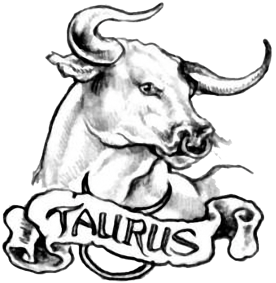 549x563 Collection Of Free Tribal Drawing Taurus Download On Ui Ex