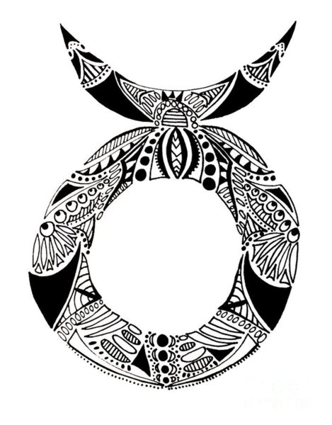 469x600 Taurus Drawings Fine Art America