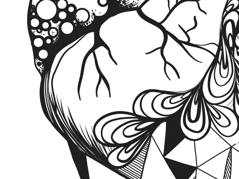 800x600 Heart Illustration Detail