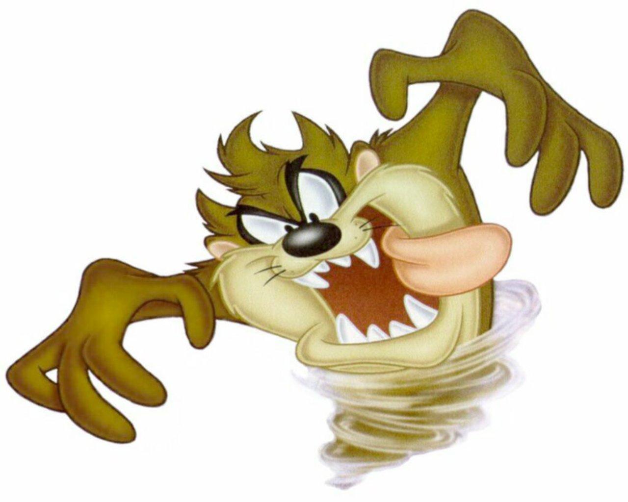 1280x1024 Cartoon Drawings Of Horses Tazmania Devil