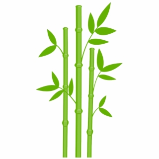 320x320 Hd Bamboo Leaves Texture Png Free Unlimited Download