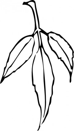 241x425 Tea Leaf Clipart