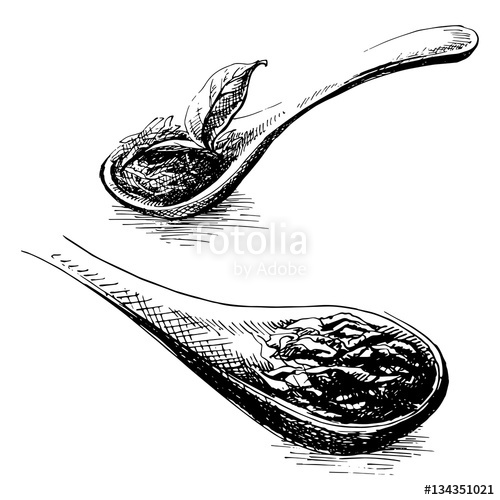 500x500 Wooden Spoon With Tea Leaves In Graphic Style, Hand Drawn Vector