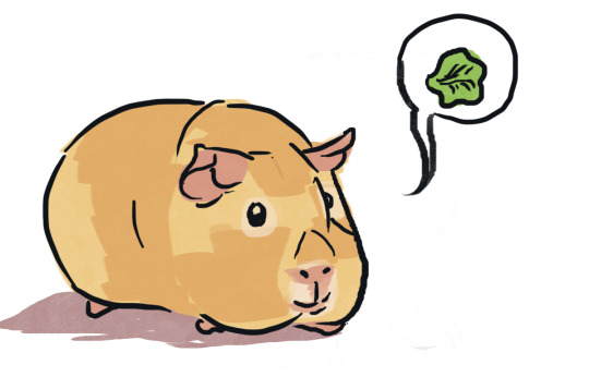 540x346 Teacher Student Clip Art