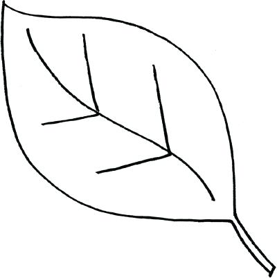 400x402 Leaf Outline Simple Templates How To Draw Doodle For Teachers
