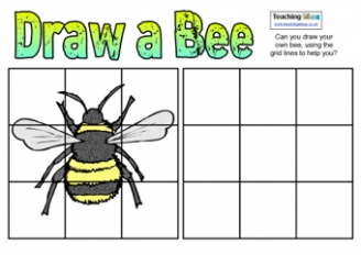 328x232 Drawing And Sketching Teaching Ideas